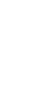 eagle amerispan